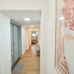 Se 2 Loznicemi Alamóc