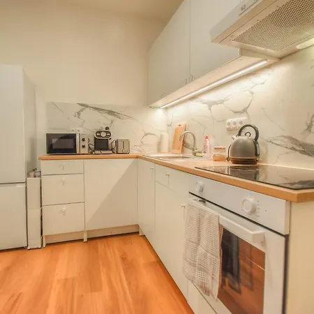 Se 2 Loznicemi Apartment