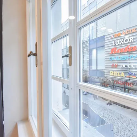 Apartment Se 2 Loznicemi *